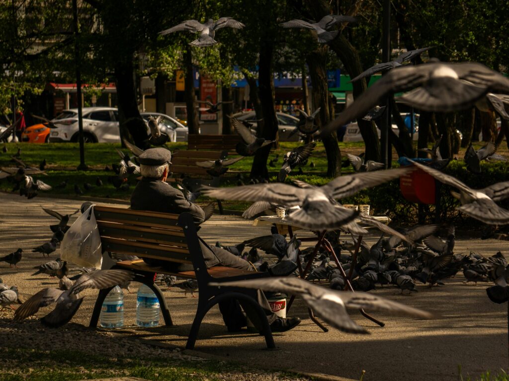 A serene scene of an elderly man on a park bench surrounded by flying pigeons in a lively urban park.